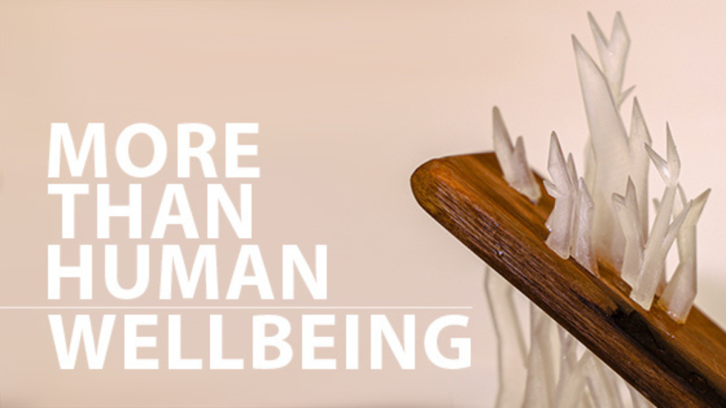 More-than-Human
